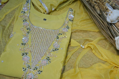 Party Wear Salwar Suit
